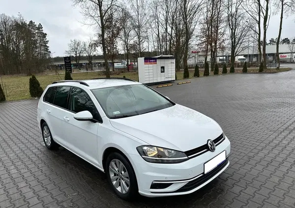 volkswagen golf Volkswagen Golf cena 52900 przebieg: 179000, rok produkcji 2017 z Szczecin